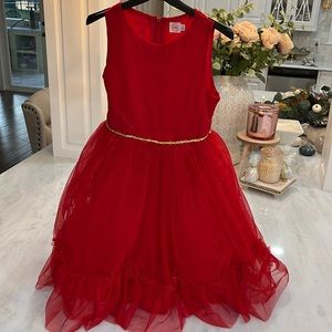 Shimmer dress size 12 plus